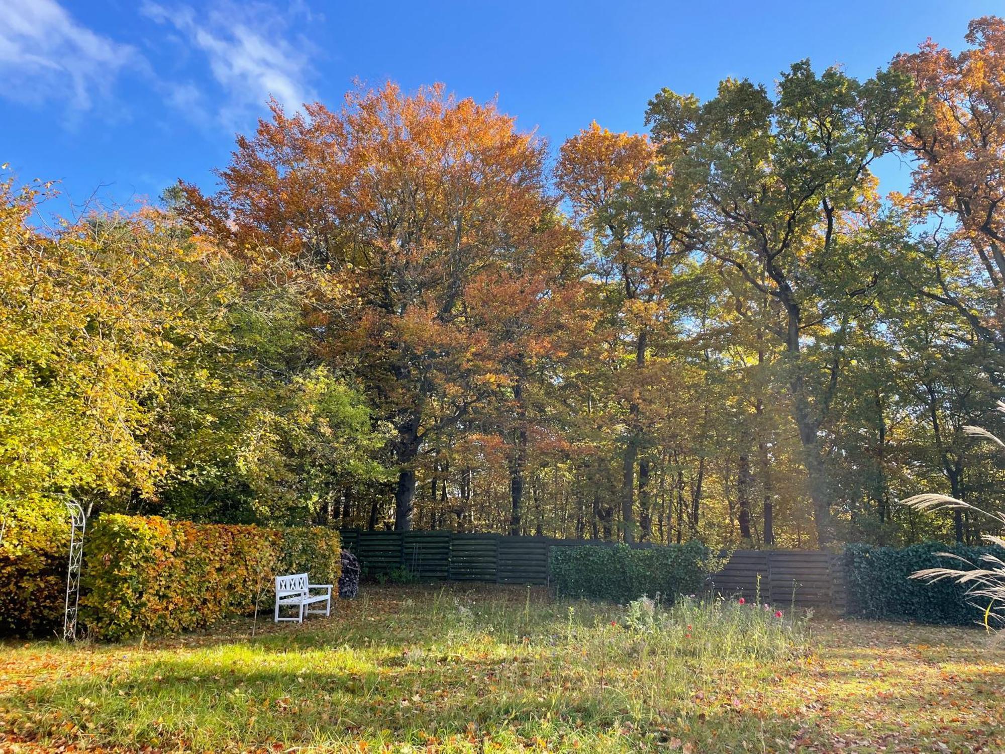 Cozy Private Annex Near Bathing Lake And 30 Min. From Copenhagen Slangerup Exterior foto